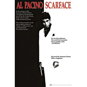 Pyramid Scarface Cover Poster Al Pacino