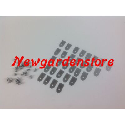 Kit 30 Stück Klingen Schrauben Roboter Rasenmäher 5351387-025351388-02 Husqvarna 157010 Kit 30 Stück Klingen Schrauben Roboter Rasenmäher 5351387-025351388-02 Husqvarna 157010