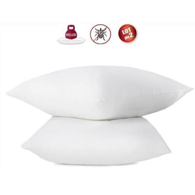 Abeil Modell 60x60cm Kissen-Set - Antiallergisch & Staubmilbenresistent Abeil Modell 60x60cm Kissen-Set - Antiallergisch & Staubmilbenresistent