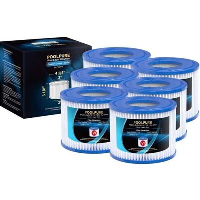 SANS MARQUE Lot De 6 Filtres De Type Vi Pour Spa Et - Remplace Les Filtres Coleman Saluspa 90352e Bestway SANS MARQUE Lot De 6 Filtres De Type Vi Pour Spa Et - Remplace Les Filtres Coleman Saluspa 90352e Bestway