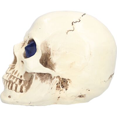 HEAT Totenkopf-ornamente – Lebensecht, Leicht Und Einfach Zu Reinigen – Für Gruselige Halloween-atmosphäre – Ideal Als Party- Und Spukhausdekoration HEAT Totenkopf-ornamente – Lebensecht, Leicht Und Einfach Zu Reinigen – Für Gruselige Halloween-atmosphäre – Ideal Als Party- Und Spukhausdekoration