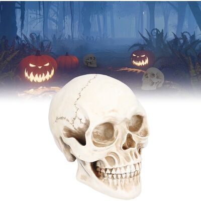 JUTE Tierschädel Und Totenköpfe Aus Kunstharz, Halloween-accessoires JUTE Tierschädel Und Totenköpfe Aus Kunstharz, Halloween-accessoires