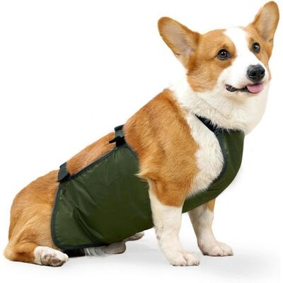 OEM Große Hundeschürze, Bauchschutzweste, Wasserdicht, Brustschutz-lätzchen, Haustierschürze, Geeignet Für Hündinnen, Corgis, Dackel Und Bulldoggen (xl) OEM Große Hundeschürze, Bauchschutzweste, Wasserdicht, Brustschutz-lätzchen, Haustierschürze, Geeignet Für Hündinnen, Corgis, Dackel Und Bulldoggen (xl)