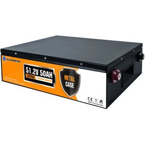 Eco-worthy - 48V 50Ah LiFePO4 Wiederaufladbare Lithium Batterie mit mehr als 3000+ tiefen Zyklen und BMS-Schutz für Solaranlagen, Wohnmobile, Boote,