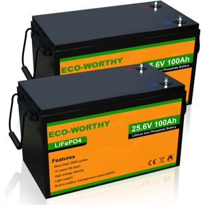 Eco-worthy - Lithium Batterie 24V 100Ah LiFePO4 mit mehr als 3000+ tiefen Zyklen und BMS-Schutz für Solaranlagen, Wohnmobile, Boote,