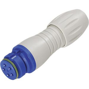 Binder 99 9106 460 03 Blauer Subminiatur-Rundsteckverbinder - Elektrischer Stecker Binder 99 9106 460 03 Blauer Subminiatur-Rundsteckverbinder - Elektrischer Stecker