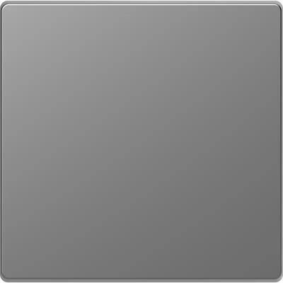 Merten MEG3300-6036 System Design 1 Gang Wippe Acero Inox. (GS) Merten MEG3300-6036 System Design 1 Gang Wippe Acero Inox. (GS)