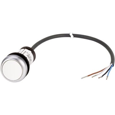 Eaton C22-D-W-K10-P62 Weiß Flacher Drucktaster - Taster + Schalter Eaton C22-D-W-K10-P62 Weiß Flacher Drucktaster - Taster + Schalter
