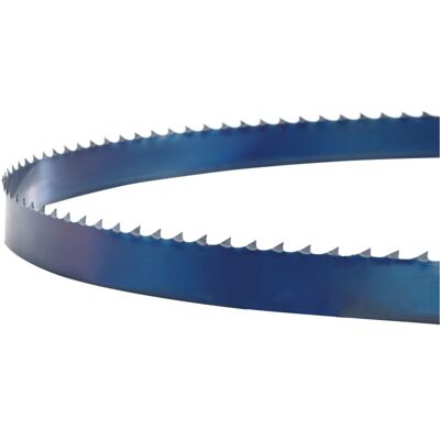 Holzkraft 5160534 Sägeband - Flexibel, schwedischer Stahl Holzkraft 5160534 Sägeband - Flexibel, schwedischer Stahl