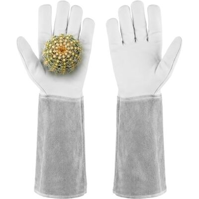 OEM Lederhandschuhe Mit Durchstichfestigkeit, Extra Lange Stulpen Und Verstärkte Innenseite, Gartenhandschuhe Für Rosen Und Kakteen (größe M) OEM Lederhandschuhe Mit Durchstichfestigkeit, Extra Lange Stulpen Und Verstärkte Innenseite, Gartenhandschuhe Für Rosen Und Kakteen (größe M)