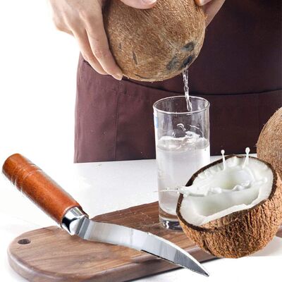 JUTE Kokosnussschäler Aus Edelstahl Mit Robustem Holzgriff – Küchen- Und Reinigungshelfer Für Kokosnüsse JUTE Kokosnussschäler Aus Edelstahl Mit Robustem Holzgriff – Küchen- Und Reinigungshelfer Für Kokosnüsse