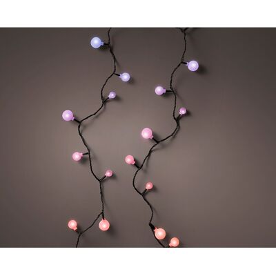 EDM Outdoor Multicolor Led-girlande 120 Leds 9 M EDM Outdoor Multicolor Led-girlande 120 Leds 9 M