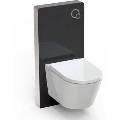 Bernstein Schwarzes Japanisches Keramik-WC mit Bidet - Komplettsystem Bernstein Schwarzes Japanisches Keramik-WC mit Bidet - Komplettsystem