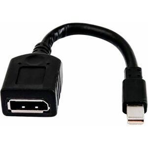 Hewlett Packard Hp Single miniDP-auf-DP-Adapter-Kabel