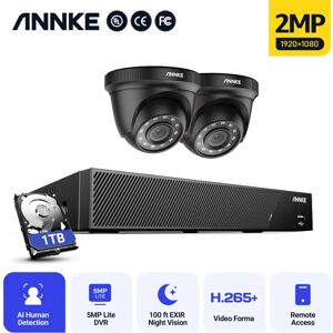 5MP Kit Caméra de Surveillance 8CH Extérieure 6 en 1 dvr Smart ir 2Caméra Vision Nocturne IP66 app à Distance Video cctv Set -1TB hdd - Annke