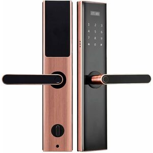 QIEDIE Biometrische elektronische App Smart Lock Edelstahl Fingerabdruck Digitales Passwort rifd Karte Türschloss Home Security