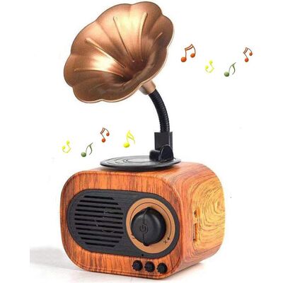 OEM Retro-musiklautsprecher Tragbarer Kabelloser Vintage-outdoor-lautsprecher Mit Lautem Stereoklang Wiederaufladbarem Lautsprecher Eingebautem Für OEM Retro-musiklautsprecher Tragbarer Kabelloser Vintage-outdoor-lautsprecher Mit Lautem Stereoklang Wiederaufladbarem Lautsprecher Eingebautem Für