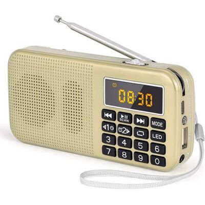 OEM Tragbares Ukw-radio Mit Leistungsstarkem Akku (3000 Mah), Unterstützt Mp3/sd/usb/aux, Gold OEM Tragbares Ukw-radio Mit Leistungsstarkem Akku (3000 Mah), Unterstützt Mp3/sd/usb/aux, Gold
