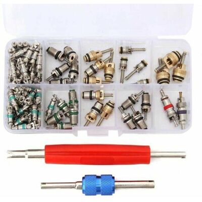 OEM Ventileinsatz-set Für Kfz-klimaanlagen – 100-teilig – Kältemittel R12/r134a – Material: Kupfer Und Messing – Universell Kompatibel OEM Ventileinsatz-set Für Kfz-klimaanlagen – 100-teilig – Kältemittel R12/r134a – Material: Kupfer Und Messing – Universell Kompatibel