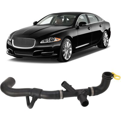 JUTE Untere Kühlerhalterung Mit Wasserzulaufschlauch Jlm21499, Kompatibel Mit Jaguar Xj X351 2010 - 2019 JUTE Untere Kühlerhalterung Mit Wasserzulaufschlauch Jlm21499, Kompatibel Mit Jaguar Xj X351 2010 - 2019