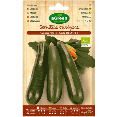 aGreen Ökologische Zucchini - Black Beauty - Gemüse aGreen Ökologische Zucchini - Black Beauty - Gemüse