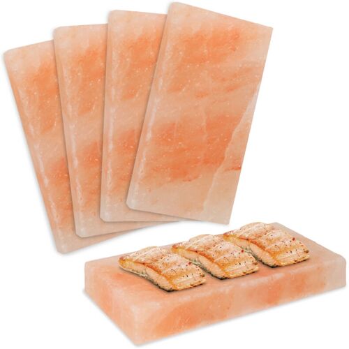 TolleTour 4er Set Himalaya Salzstein 20x10x2,5 cm Salzfliese zum Grillen & Servieren für Steak Fisch BBQ Zubehör