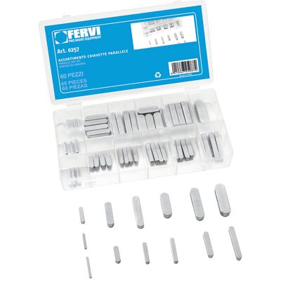 60 Tlg Passfeder Federkeile Nabenfeder Wellefeder Fervi 0257 60 Tlg Passfeder Federkeile Nabenfeder Wellefeder Fervi 0257