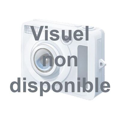 Marteau Tapissier Fischer Darex Précision & Légèreté - Fischer Darex Marteau Tapissier Fischer Darex Précision & Légèreté - Fischer Darex