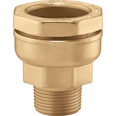 CALEFFI 862532 Messing Männlicher Reduzierter Anschluss - Rohrtyp CALEFFI 862532 Messing Männlicher Reduzierter Anschluss - Rohrtyp
