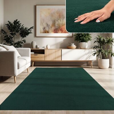 Paco Home Grüne Teppich 300x400 cm - Waschbar, Weiche Flor, Kurzes Haar, Wohnzimmer Paco Home Grüne Teppich 300x400 cm - Waschbar, Weiche Flor, Kurzes Haar, Wohnzimmer
