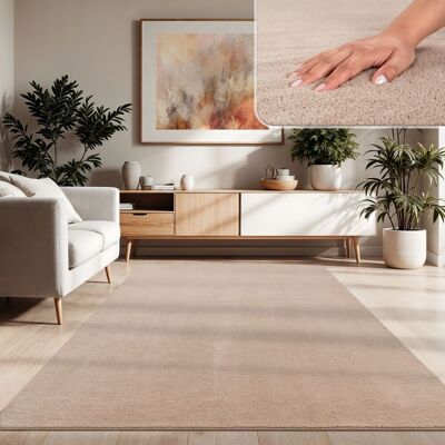 Paco Home Moderner Wohnzimmer Teppich Kurzflor Waschbar Weich Einfarbig Felloptik Anti-rutsch 140x200 Cm, Beige Paco Home Moderner Wohnzimmer Teppich Kurzflor Waschbar Weich Einfarbig Felloptik Anti-rutsch 140x200 Cm, Beige