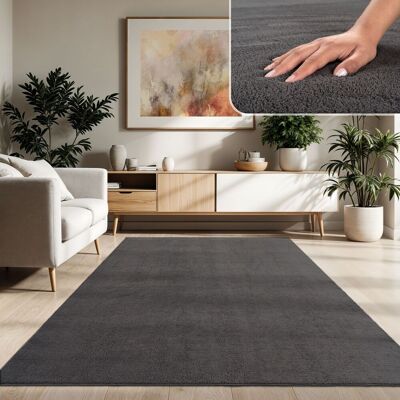 Paco Home - Moderner Wohnzimmer Teppich Kurzflor Waschbar Weich Einfarbig Felloptik Anti-rutsch Anthrazit, 240x340 Cm Paco Home - Moderner Wohnzimmer Teppich Kurzflor Waschbar Weich Einfarbig Felloptik Anti-rutsch Anthrazit, 240x340 Cm