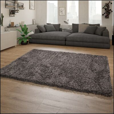 Paco Home - Hochflor Teppich Wohnzimmer Shaggy Langflor Modernes Einfarbiges Muster 80x150 Cm, Anthrazit Paco Home - Hochflor Teppich Wohnzimmer Shaggy Langflor Modernes Einfarbiges Muster 80x150 Cm, Anthrazit