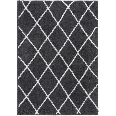 Homcom, Hochflorteppich, Wohnzimmerteppich, Schlafzimmerteppich, Pflegeleicht Und Strapazierfähig, Anthrazit-weiß, 170 X 120 X 3,5 Cm Homcom, Hochflorteppich, Wohnzimmerteppich, Schlafzimmerteppich, Pflegeleicht Und Strapazierfähig, Anthrazit-weiß, 170 X 120 X 3,5 Cm
