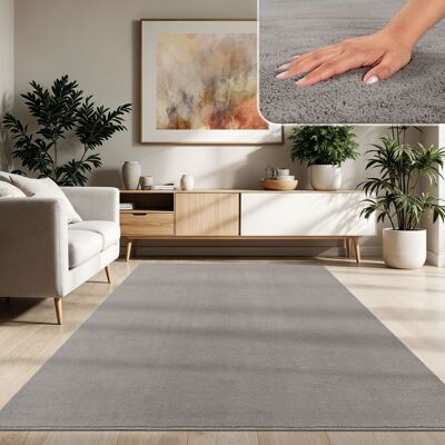 Paco Home - Moderner Wohnzimmer Teppich Kurzflor Waschbar Weich Einfarbig Felloptik Anti-rutsch 120x170 Cm, Grau Paco Home - Moderner Wohnzimmer Teppich Kurzflor Waschbar Weich Einfarbig Felloptik Anti-rutsch 120x170 Cm, Grau