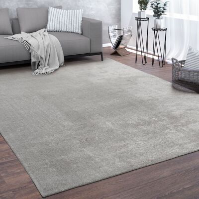 Paco Home Waschbarer Teppich Wohnzimmer Kurzflor Einfarbiger Moderner Stil Weich Silber 80x300 Cm Paco Home Waschbarer Teppich Wohnzimmer Kurzflor Einfarbiger Moderner Stil Weich Silber 80x300 Cm