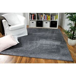 Snapstyle - Hochflor Velours Teppich Mona Grau - 80x200 cm