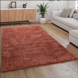 Hochflor Teppich Wohnzimmer Shaggy Langflor Weich Modern Einfarbiges Muster Orange 100x200 cm - Paco Home