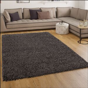 Shaggy Hochflor Langflor Teppich Sky Einfarbig in Anthrazit 60x100 cm - Paco Home