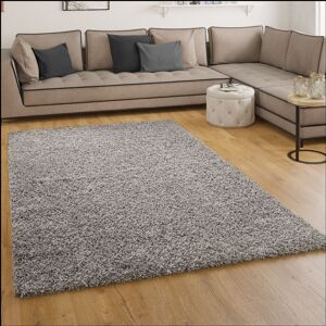 Shaggy Hochflor Langflor Teppich Sky Einfarbig in Grau 60x100 cm - Paco Home