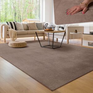 Teppich Wohnzimmer Kurzflor Waschbar Weich Modernes Einfarbiges Muster 60x100 cm, Taupe - Paco Home