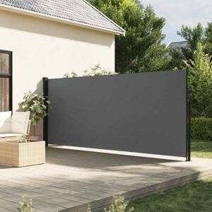 Seitenmarkise Ausziehbar Anthrazit 160x500 Cm - Vidaxl Seitenmarkise Ausziehbar Anthrazit 160x500 Cm - Vidaxl