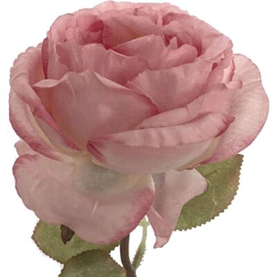 JUTE Künstliche Rosen, Princess Diana Rosen Mit Gebrannten Rändern, Große Französische Rosen Mit Gerüschten Rändern, Wohnzimmerdekoration, Blumenarrangement Für Den Esstisch, Künstliche Rosen Mit Gebrannte JUTE Künstliche Rosen, Princess Diana Rosen Mit Gebrannten Rändern, Große Französische Rosen Mit Gerüschten Rändern, Wohnzimmerdekoration, Blumenarrangement Für Den Esstisch, Künstliche Rosen Mit Gebrannte