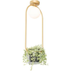 Qazqa Art Deco Deckenleuchte - Gold/Glas - Max 5W - Innen Qazqa Art Deco Deckenleuchte - Gold/Glas - Max 5W - Innen