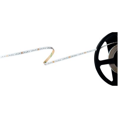 Barthelme - Basic 120 51540913 Led-streifen Mit Offenem Kabelende 24 V 5 M Grün 1 St. Barthelme - Basic 120 51540913 Led-streifen Mit Offenem Kabelende 24 V 5 M Grün 1 St.