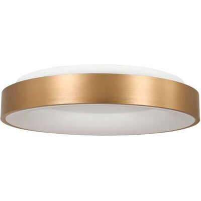 Sienna Lighting Sienna Ring Sled Zylindrische Deckenleuchte - Deckenleuchte Sienna Lighting Sienna Ring Sled Zylindrische Deckenleuchte - Deckenleuchte