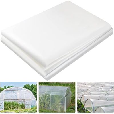 OEM 2 X 3m Strapazierfähiges Polyethylen-blatt, Extra Dickes, Klares Gewächshausabdeckungsfolie Aus Polyethylen Für Die Gartenisolierung (250mu / 1000 OEM 2 X 3m Strapazierfähiges Polyethylen-blatt, Extra Dickes, Klares Gewächshausabdeckungsfolie Aus Polyethylen Für Die Gartenisolierung (250mu / 1000