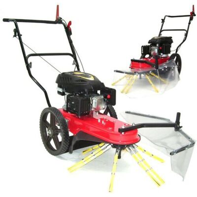 Apex - Kehrmaschine Radialbesen 700 Wildkrautbürste Unkraut Entferner 56756 Kehrbesen Apex - Kehrmaschine Radialbesen 700 Wildkrautbürste Unkraut Entferner 56756 Kehrbesen
