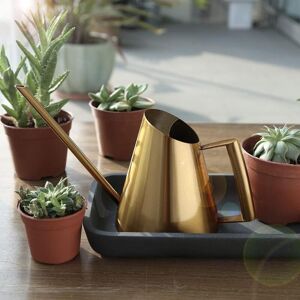 GOJOY 1500ml Edelstahl Langmund Gießkanne Gold Metall Kleine Blumengießkanne Zimmergießkanne Blumenkanne Topfsprinkler für Büro Garten Pflanzen Innen Außen GOJOY 1500ml Edelstahl Langmund Gießkanne Gold Metall Kleine Blumengießkanne Zimmergießkanne Blumenkanne Topfsprinkler für Büro Garten Pflanzen Innen Außen