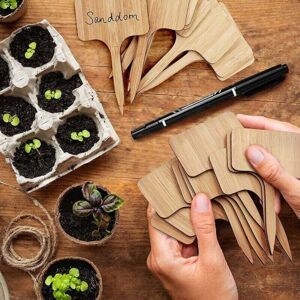 XVX 50 pezzi etichetta per piante, etichetta per piantagione di orti, etichetta in legno per piante di bambù da esterno, marcatori di tipo t XVX 50 pezzi etichetta per piante, etichetta per piantagione di orti, etichetta in legno per piante di bambù da esterno, marcatori di tipo t